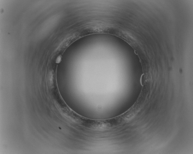 X0000076100646200610061708