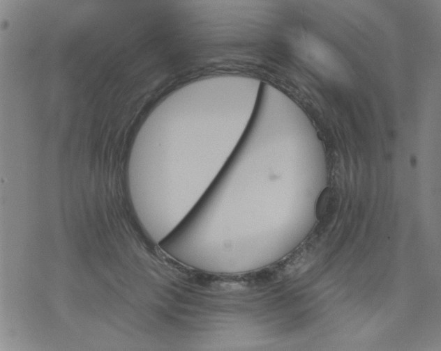 X0000076100649200610061708