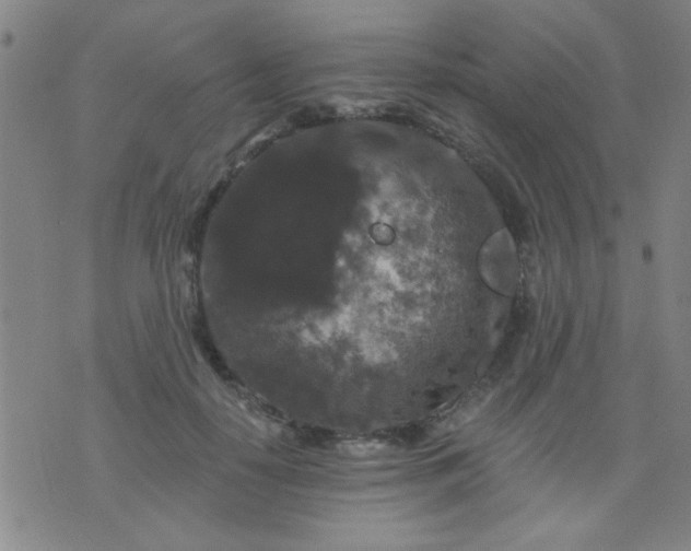 X0000076100650200610061708