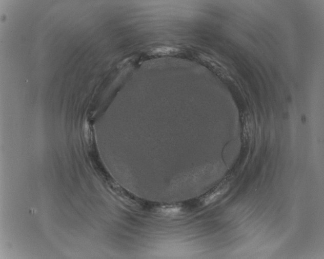 X0000076100651200610061708