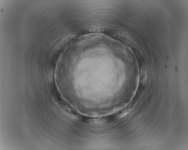 X0000076100652200610061708