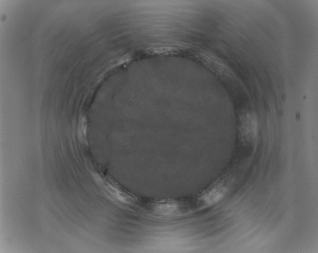 X0000076100653200610061708