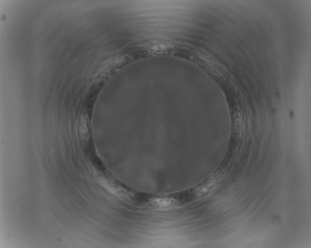 X0000076100654200610061708