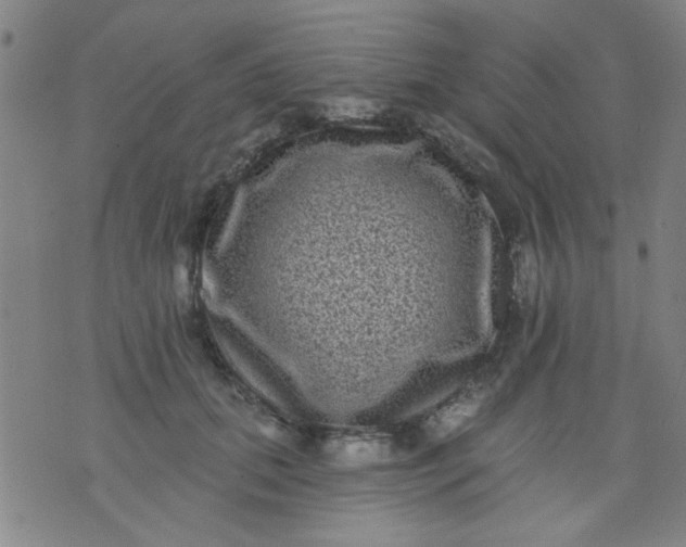 X0000076100655200610061708