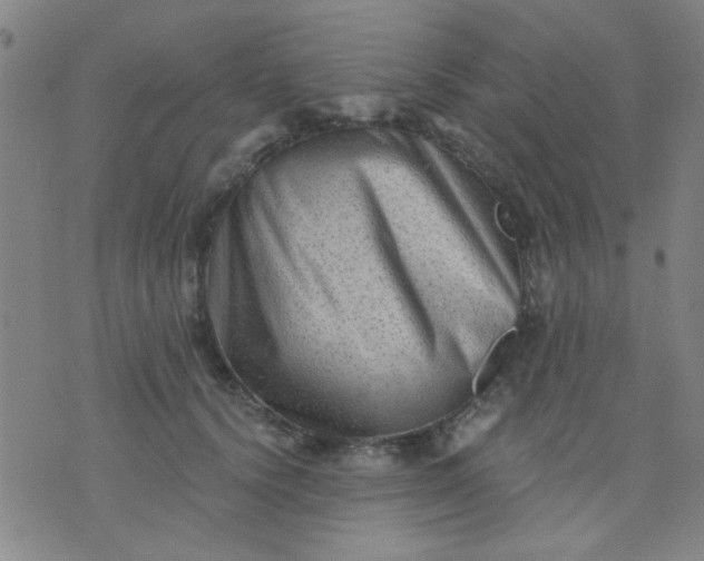 X0000076100656200610061708