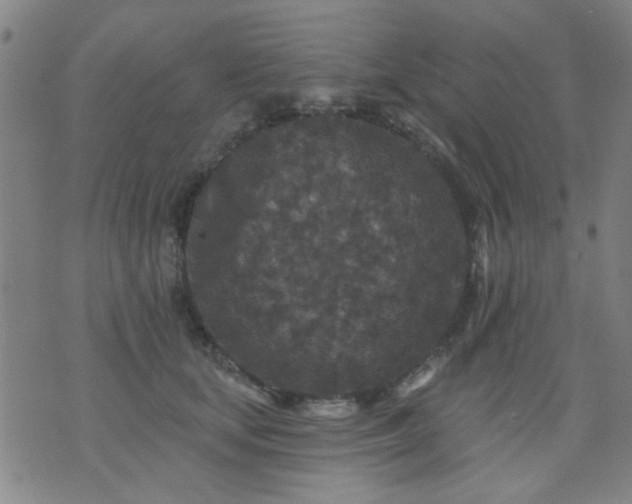 X0000076100659200610061708