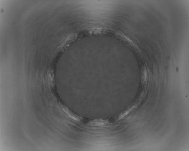 X0000076100661200610061708