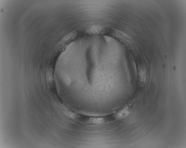 X0000076100665200610061708