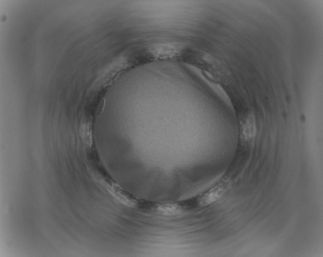 X0000076100666200610061708