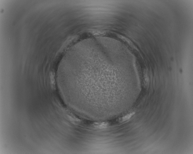 X0000076100667200610061708