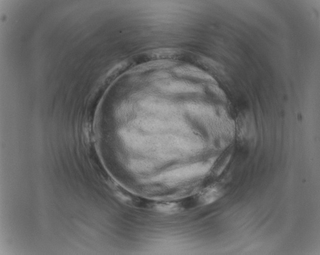 X0000076100669200610061708