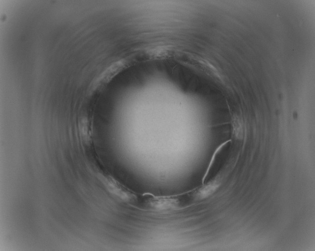 X0000076100670200610061708