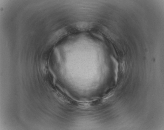 X0000076100671200610061708