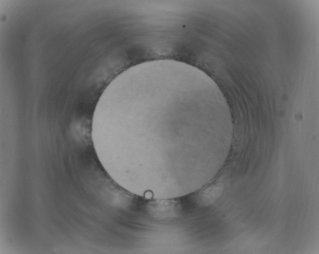 X0000076100672200610061708