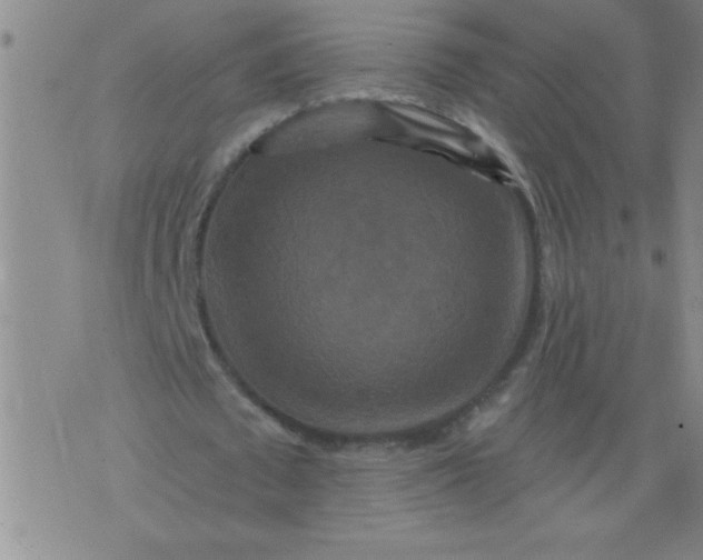 X0000076100673200610061707