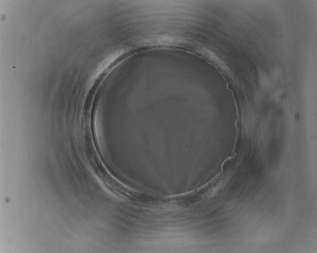 X0000076100674200610061707