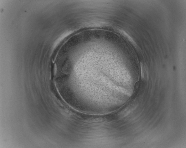 X0000076100675200610061707