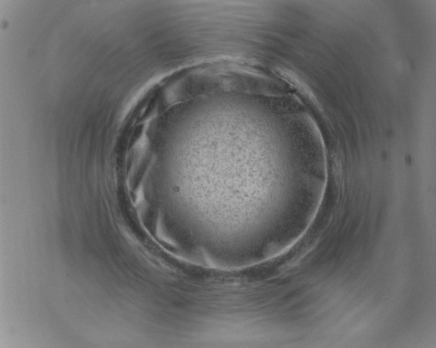 X0000076100676200610061707