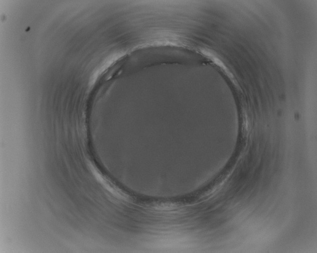 X0000076100677200610061707