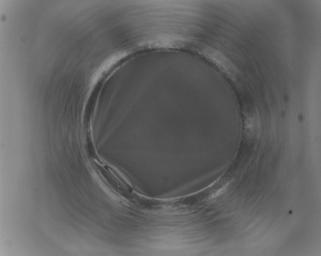 X0000076100678200610061707