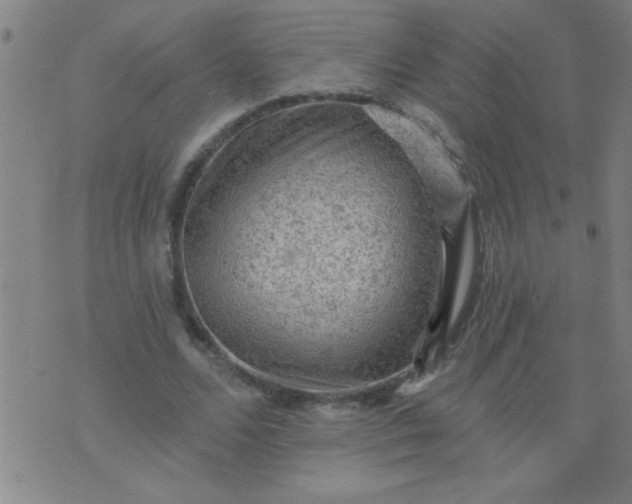 X0000076100680200610061707