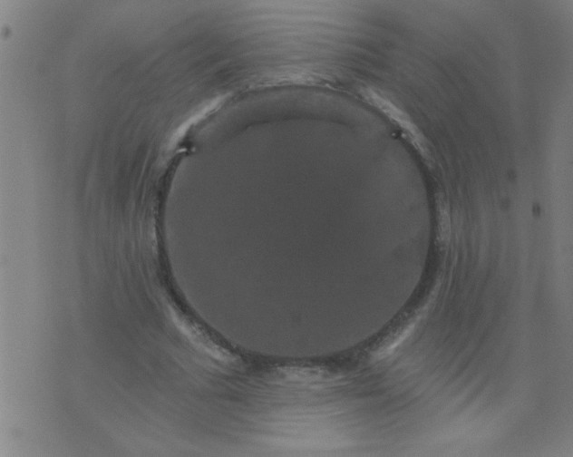 X0000076100681200610061707