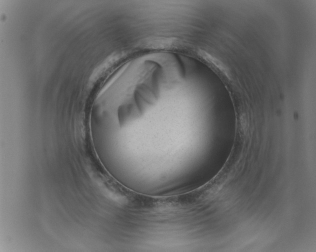 X0000076100682200610061707