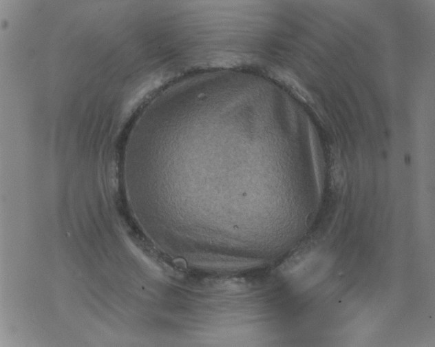 X0000076100683200610061707