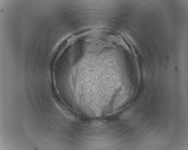 X0000076100684200610061707