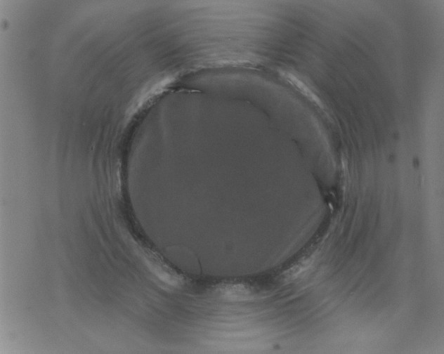 X0000076100685200610061707