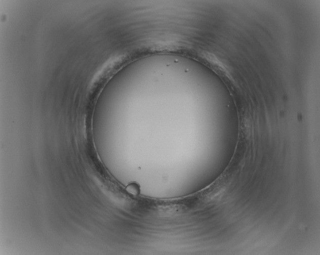 X0000076100686200610061707