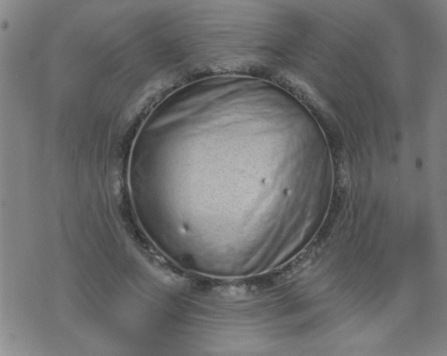 X0000076100687200610061707