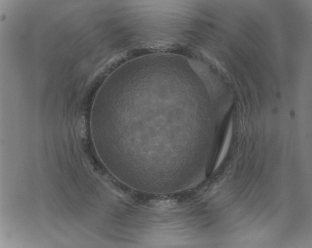 X0000076100689200610061707