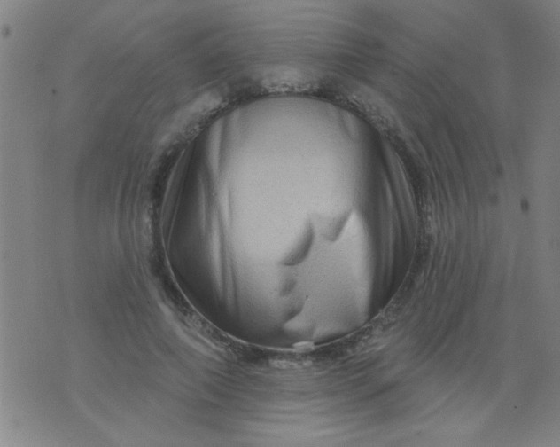 X0000076100690200610061707