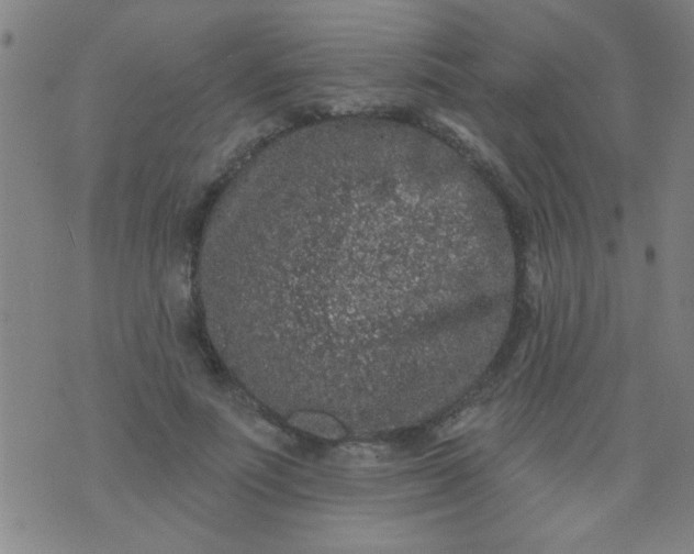 X0000076100691200610061707