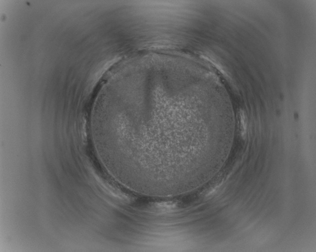 X0000076100692200610061707