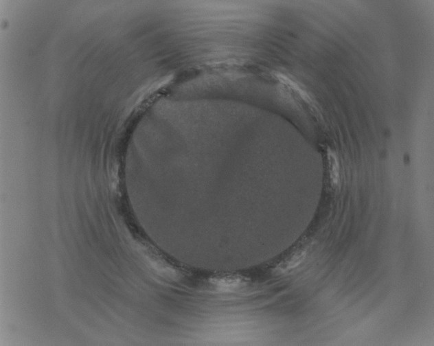 X0000076100693200610061707