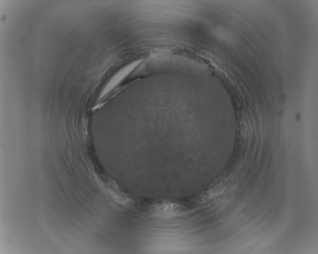 X0000076100695200610061707