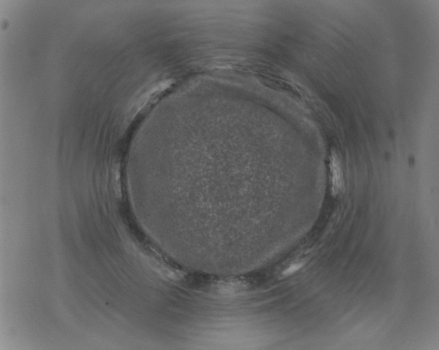 X0000076100696200610061707