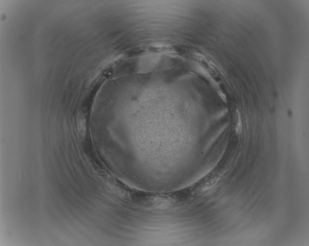 X0000076100697200610061707