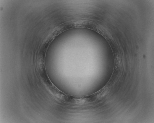 X0000076100698200610061707