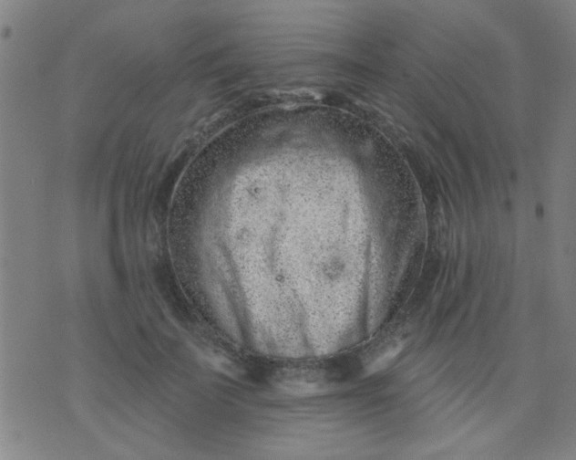 X0000076100699200610061707