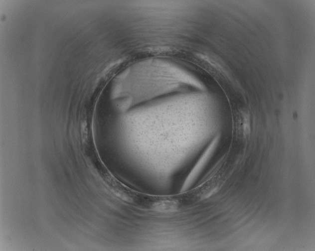 X0000076100700200610061707