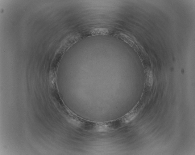 X0000076100701200610061707