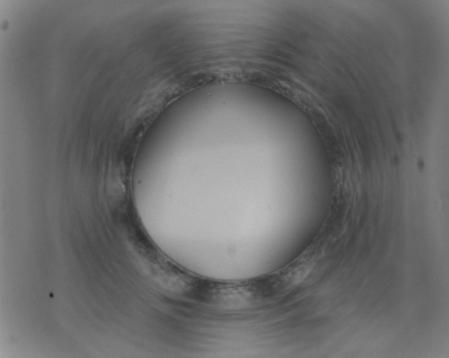 X0000076100702200610061707