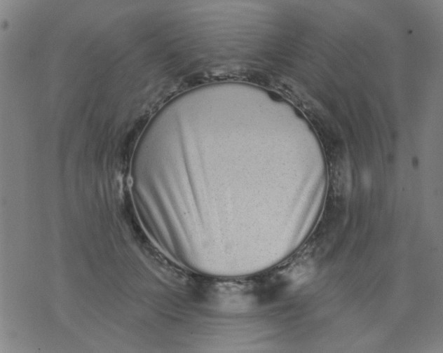 X0000076100703200610061707