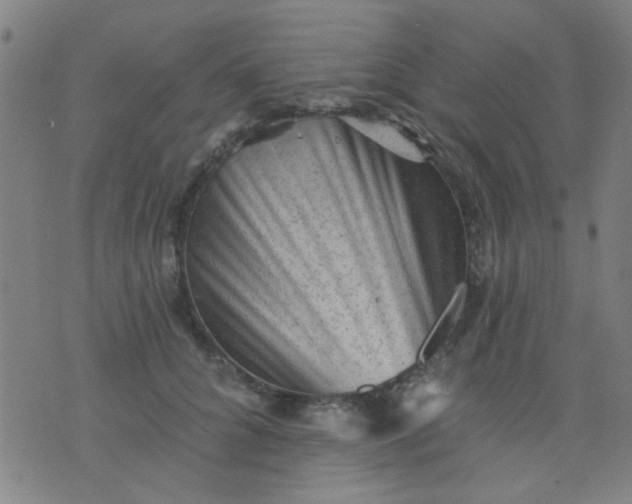 X0000076100704200610061707