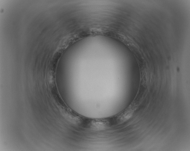 X0000076100706200610061707