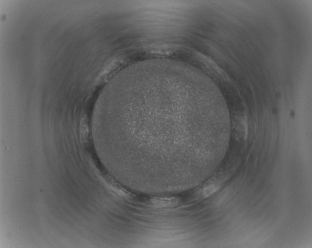 X0000076100707200610061707