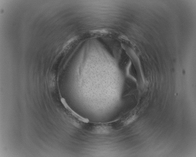 X0000076100708200610061707